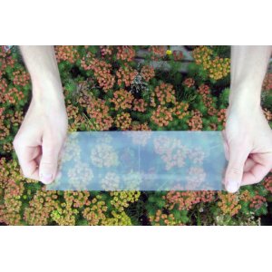 Плёнка Полимедэл